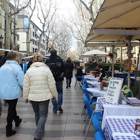 Stopbarcelona Universidad Barcelona